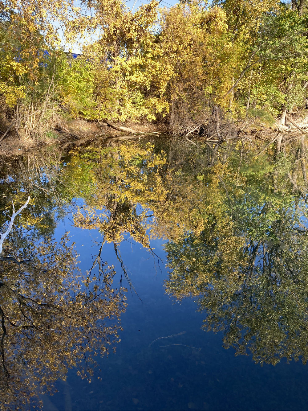 LaCanne Park, Goodview, Minn.